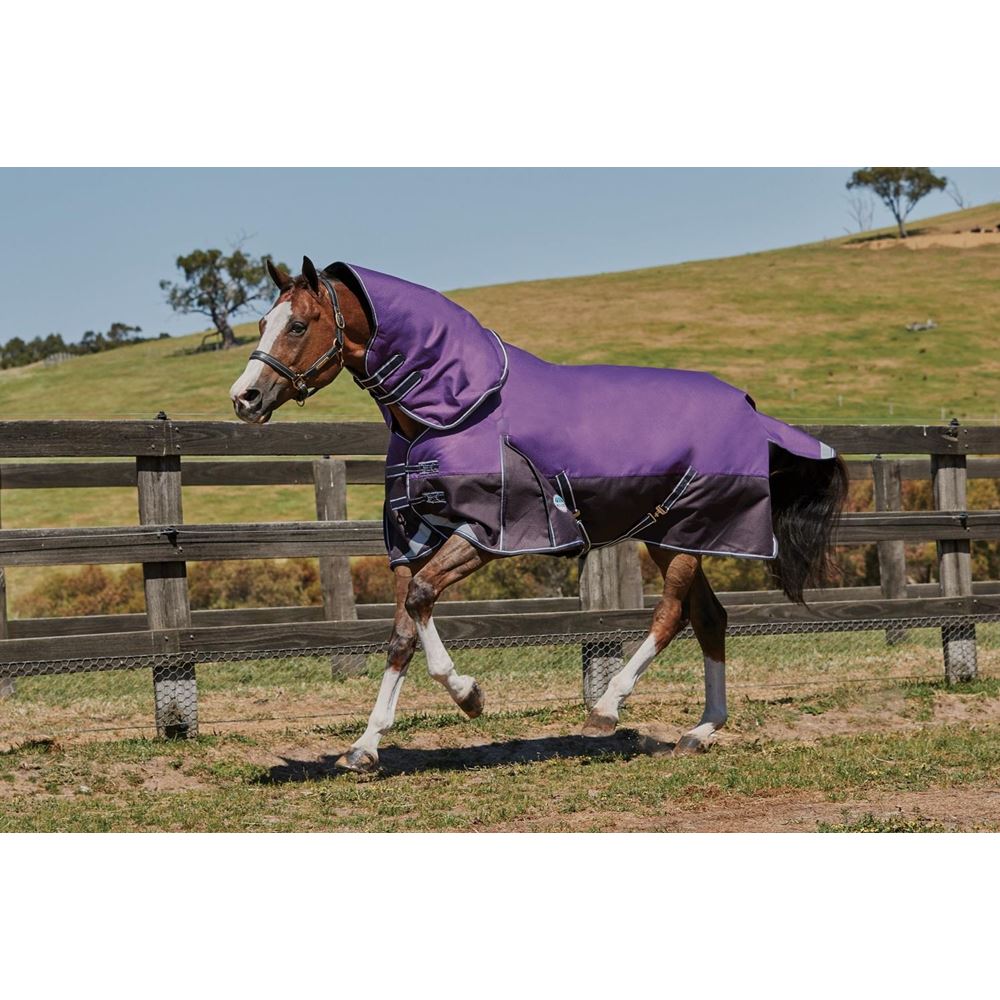 Weatherbeeta ComFitec Plus Dynamic Detach-A-Neck Lite Turnout Rug