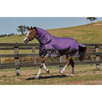 Weatherbeeta ComFitec Plus Dynamic Detach-A-Neck Lite - 4'6" (Purple/Black) *Clearance*