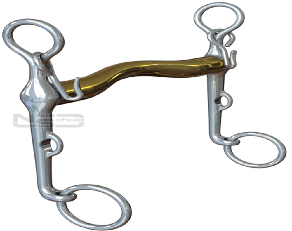 Neue Schule NS Aachen Weymouth (45 degrees forwards) 80277FV