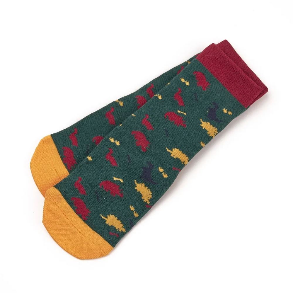 Shires Tikaboo Long Socks (Dinosaur)
