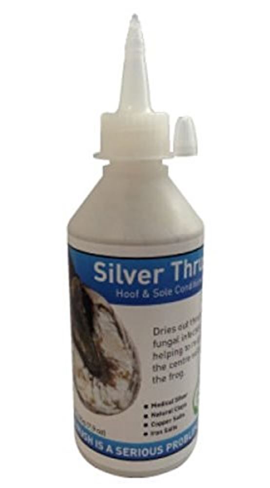  Silver Thrush 100gm