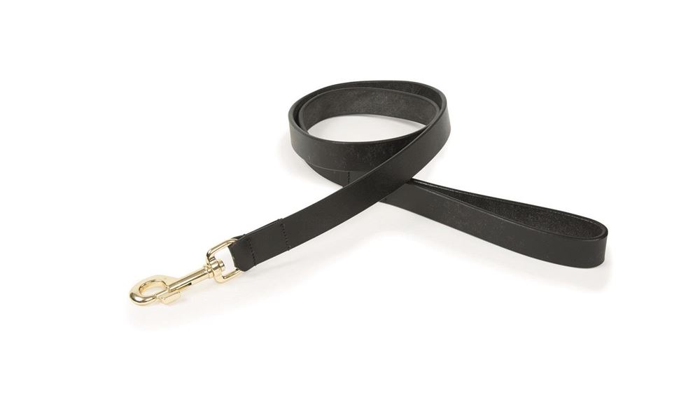 Shires Digby & Fox Flat Leather Dog Lead