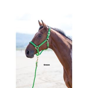 Shires Topaz Nylon Headcollar