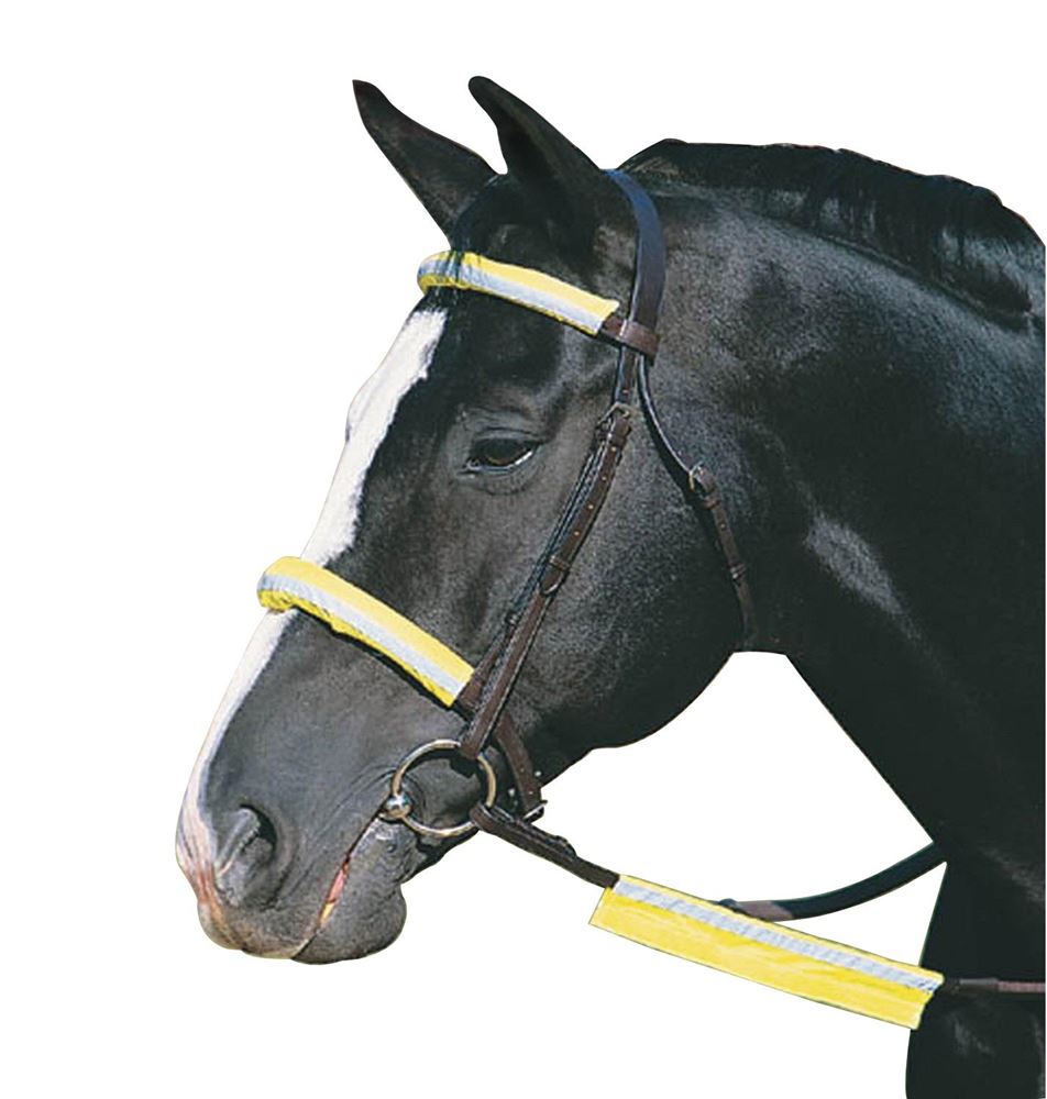Roma Reflective Bridle Kit