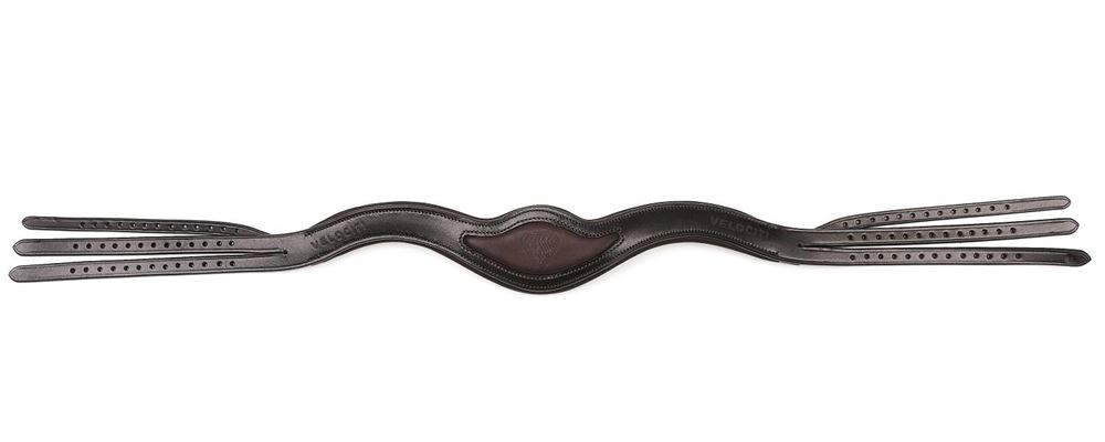 Shires Velociti Rapida EVO Universal Headpiece (Black)