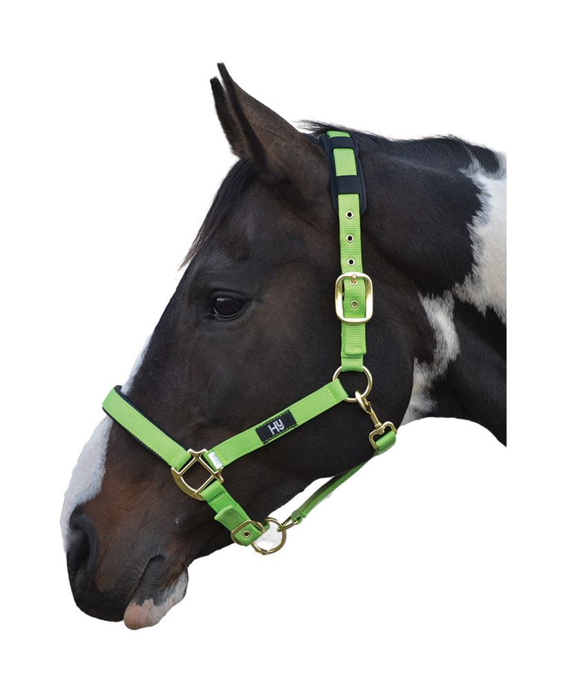 Hy Deluxe Padded Head Collar