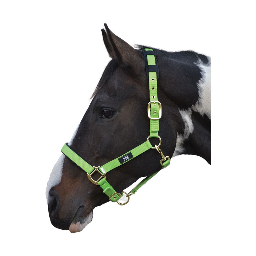 Hy Deluxe Padded Head Collar