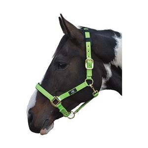 Hy Deluxe Padded Head Collar