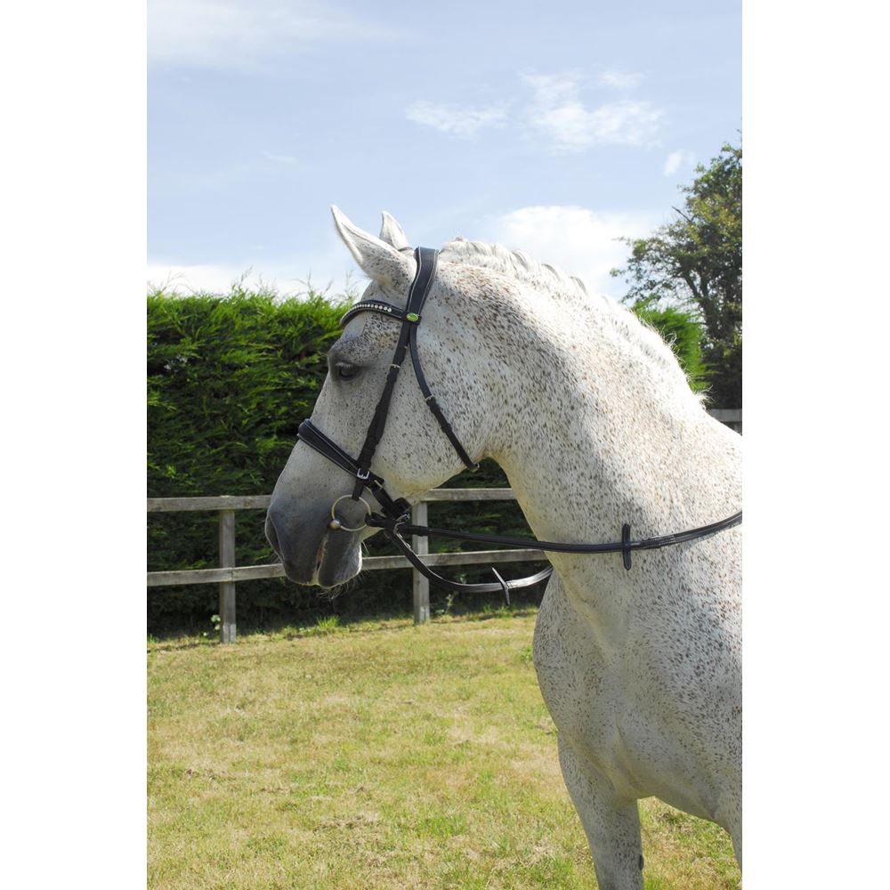 Rhinegold Italian Leather Anatomical Bridle With Cavesson Noseband