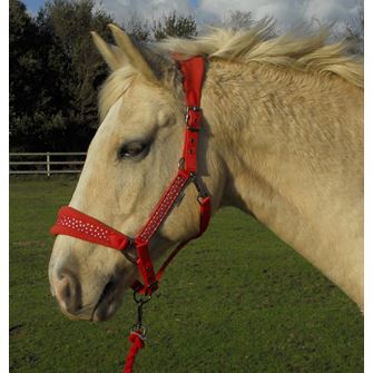 Rhinegold Star Spangled Headcollar & Rope Set (Red)