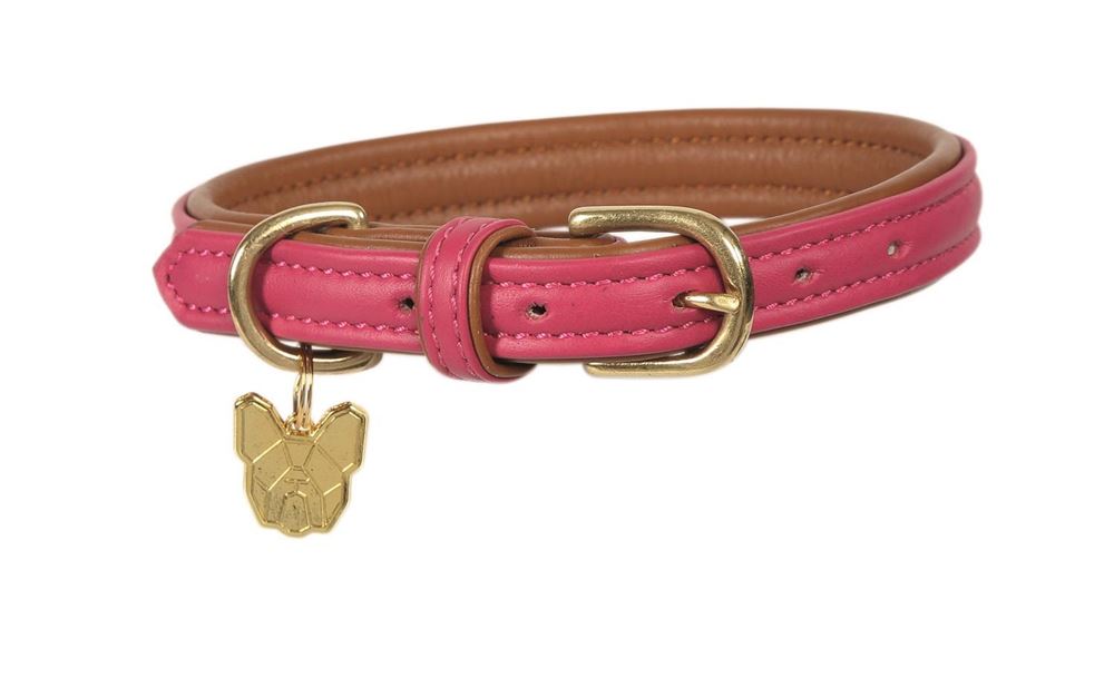 Shires Digby & Fox Padded Leather Dog Collar XL - XXL