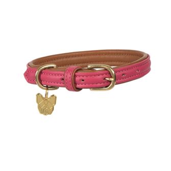 Shires Digby & Fox Padded Leather Dog Collar (XS - Pink) *Clearance*