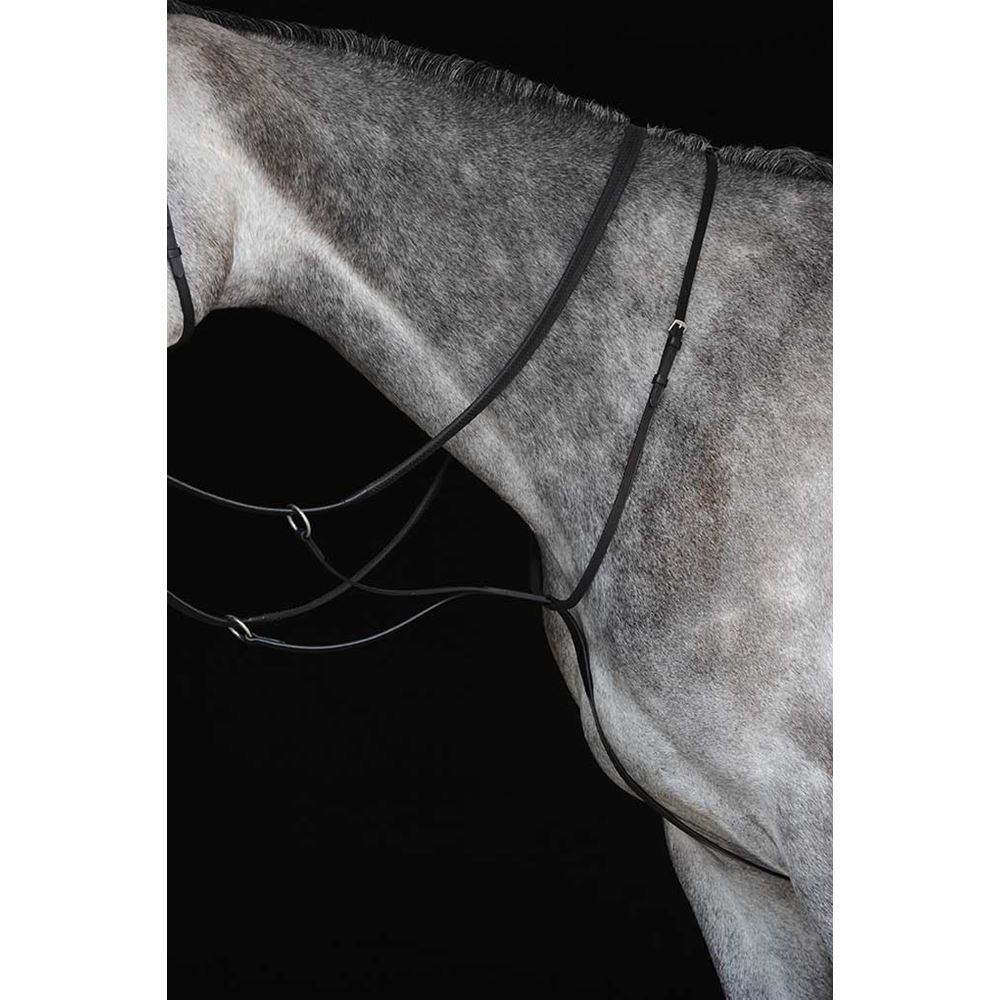 Collegiate Running Martingale IV