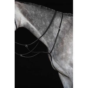 Collegiate Running Martingale IV