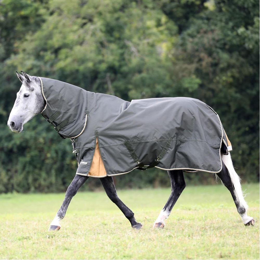 Shires Highlander Plus 50 Combo Turnout Rug (Green)