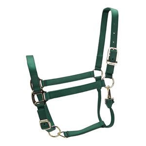 Shires ARMA Premium Adjustable Headcollar (Hunter)