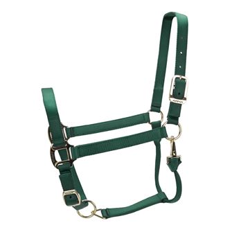 Shires ARMA Premium Adjustable Headcollar (Hunter)