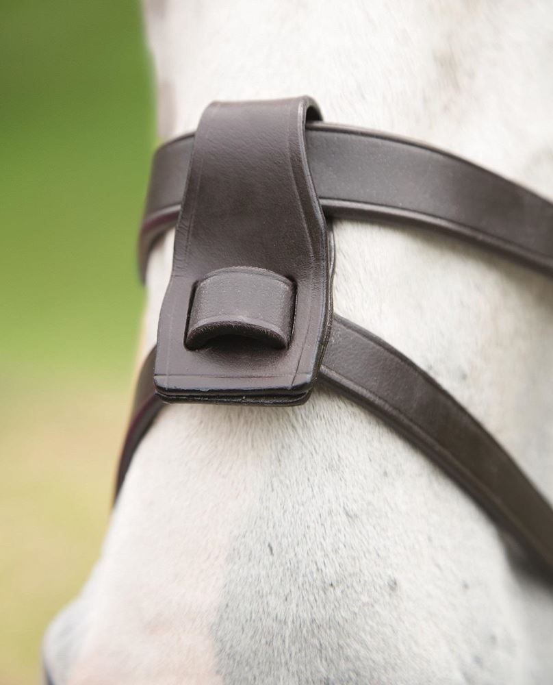 Shires Blenheim Flash Strap