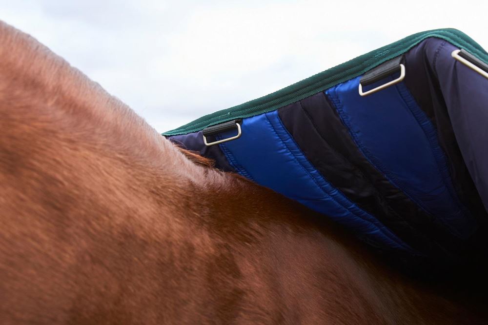 Weatherbeeta Comfitec Plus Dynamic Turnout Standard - 100g (Navy/Forest Green)