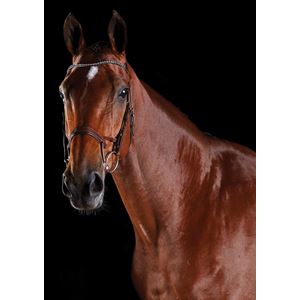Collegiate Comfitec Crystal Bridle
