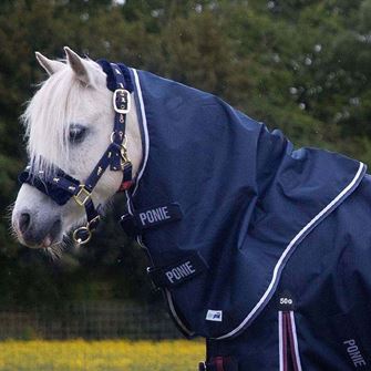 Gallop Ponie DURAPROOF 5 Point Lightweight Neck Cover (Navy)
