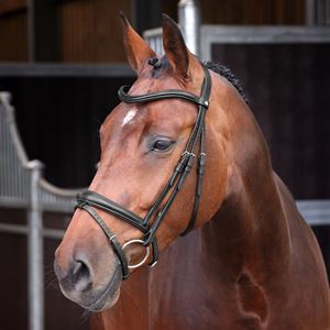 Shires Velociti LUSSO Elite Padded Raised Flash Bridle (Black)