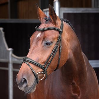 Shires Velociti LUSSO Elite Padded Raised Flash Bridle (Black)