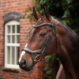 Shires Velociti LUSSO Opus 180M Ergonomic Flash Bridle (Black)