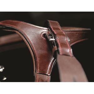 Mark Todd Performance Breastplate