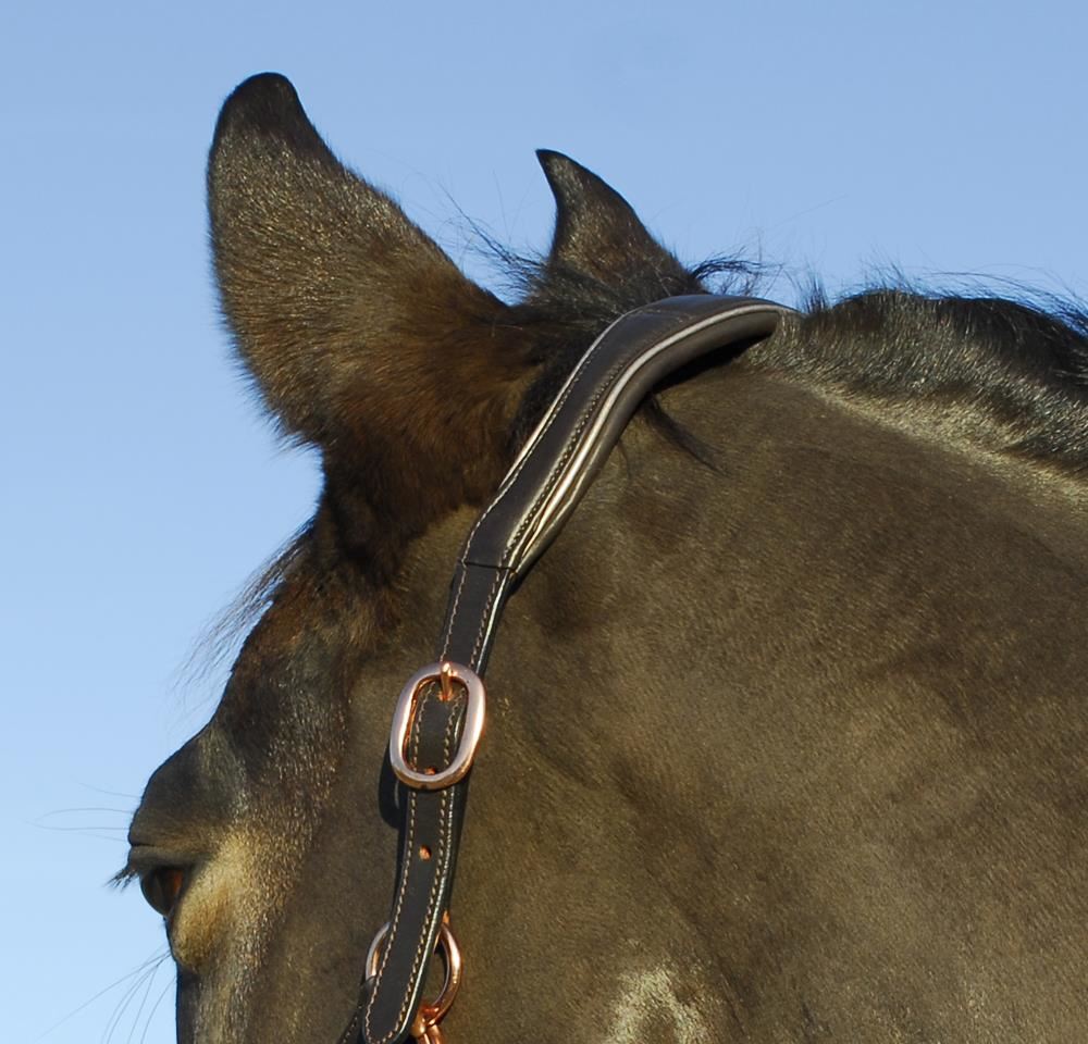 Rhinegold Rocco Italia Turin Leather Headcollar