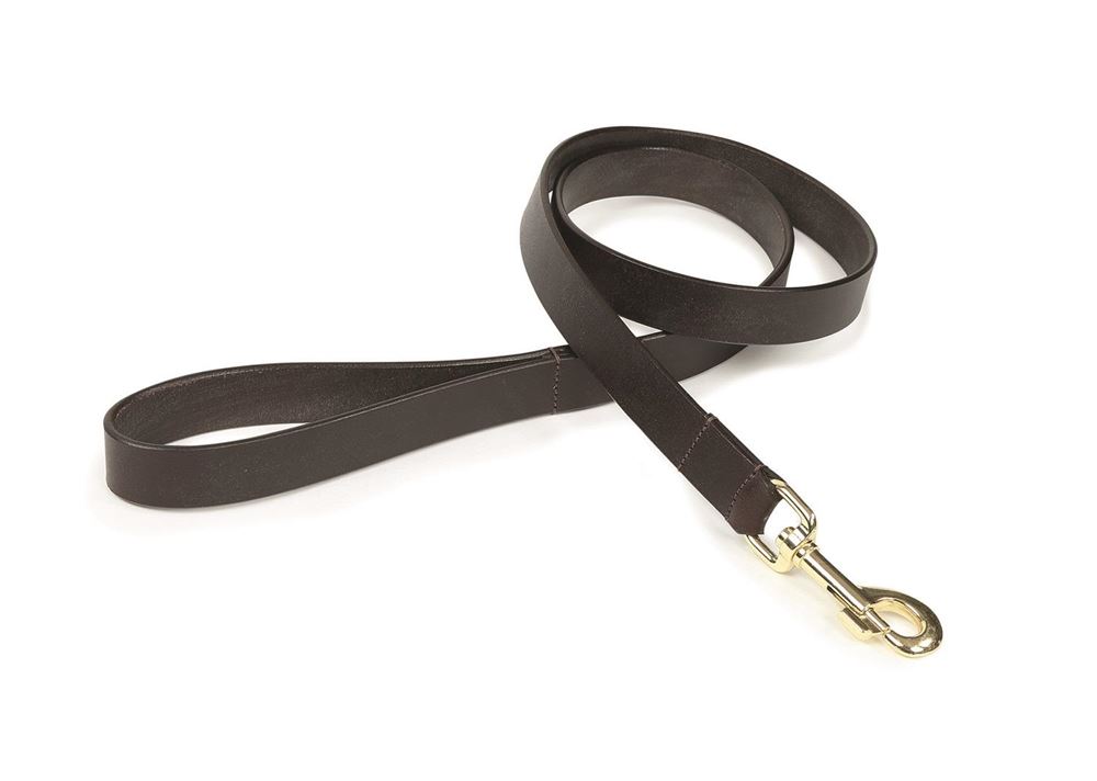 Shires Digby & Fox Flat Leather Dog Lead