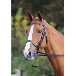 Shires Aviemore Plain Cavesson Bridle