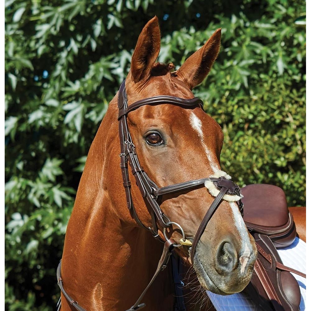 Collegiate Comfitec Grackle Bridle