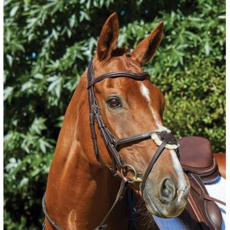 Collegiate Comfitec Grackle Bridle