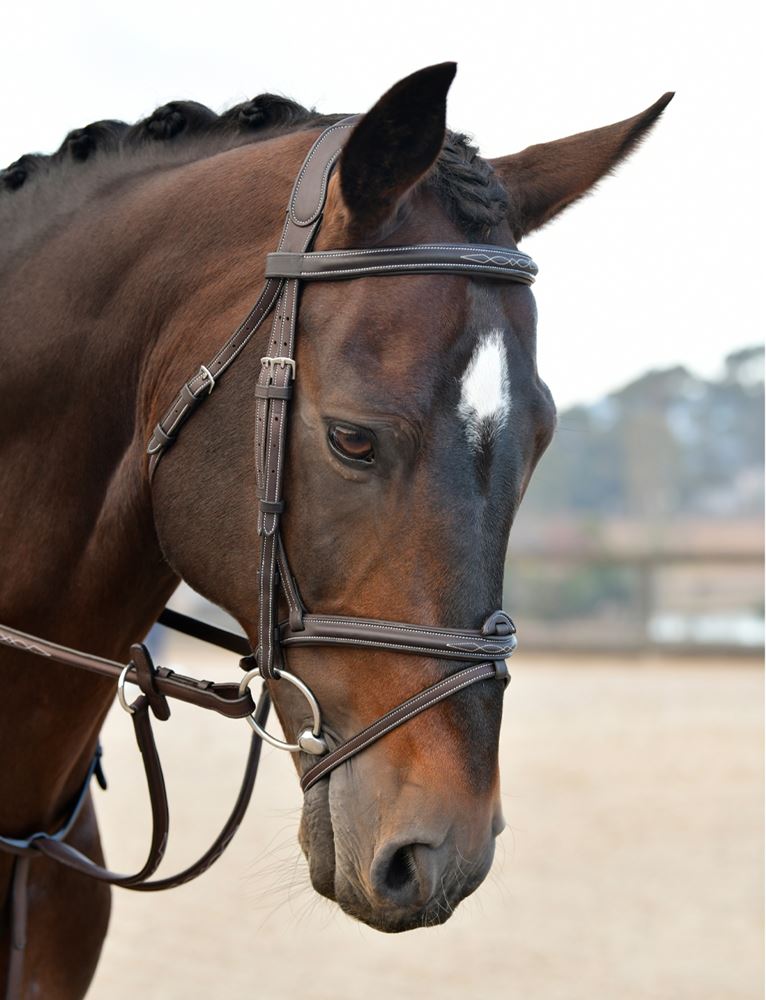 Weatherbeeta Collegiate Comfitec Opulux Fancy Stitch Padded Hanoverian Bridle