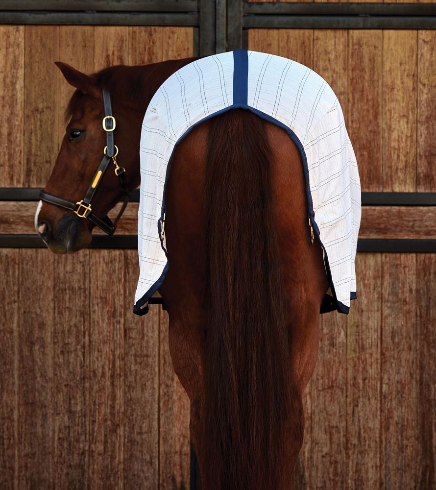 Weatherbeeta Comfitec Cotton Liner Sheet Standard (White/Navy)