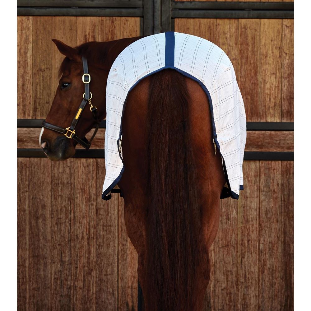 Weatherbeeta Comfitec Cotton Liner Sheet Standard (White/Navy)