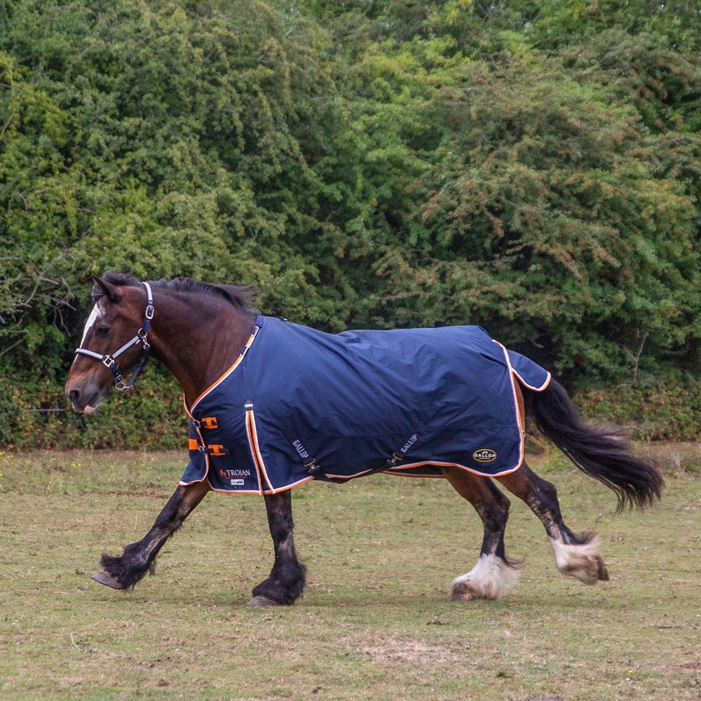 Gallop Trojan DURAPROOF 100g 5-Point Standard Neck Turnout Rug (Navy/Orange/White)