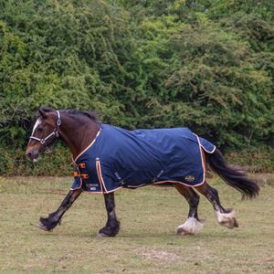 Gallop Trojan DURAPROOF 100g 5-Point Standard Neck Turnout Rug (Navy/Orange/White)