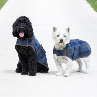 Shires Digby & Fox Tweed Dog Coat (L - XXL) - (Navy Tweed)