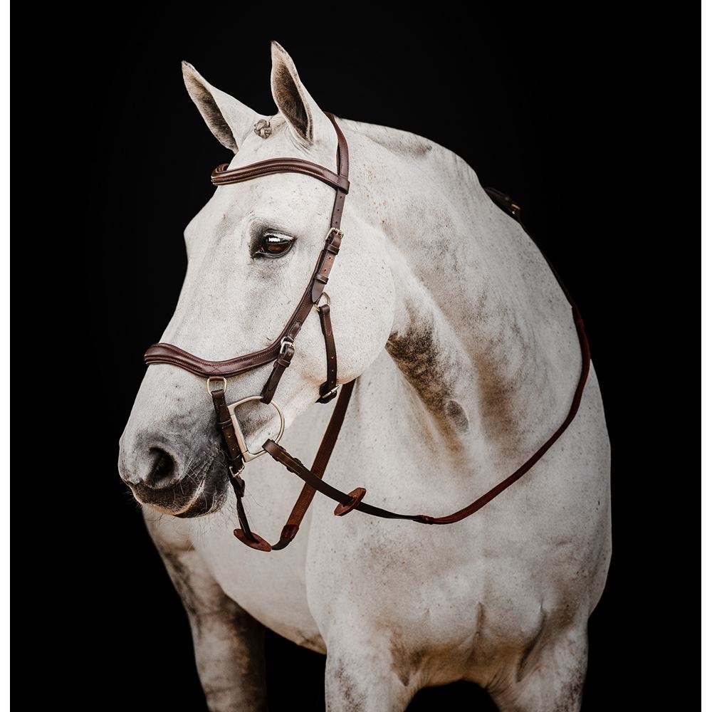 Horseware Micklem 2 Multi Bridle (Dark Havana)