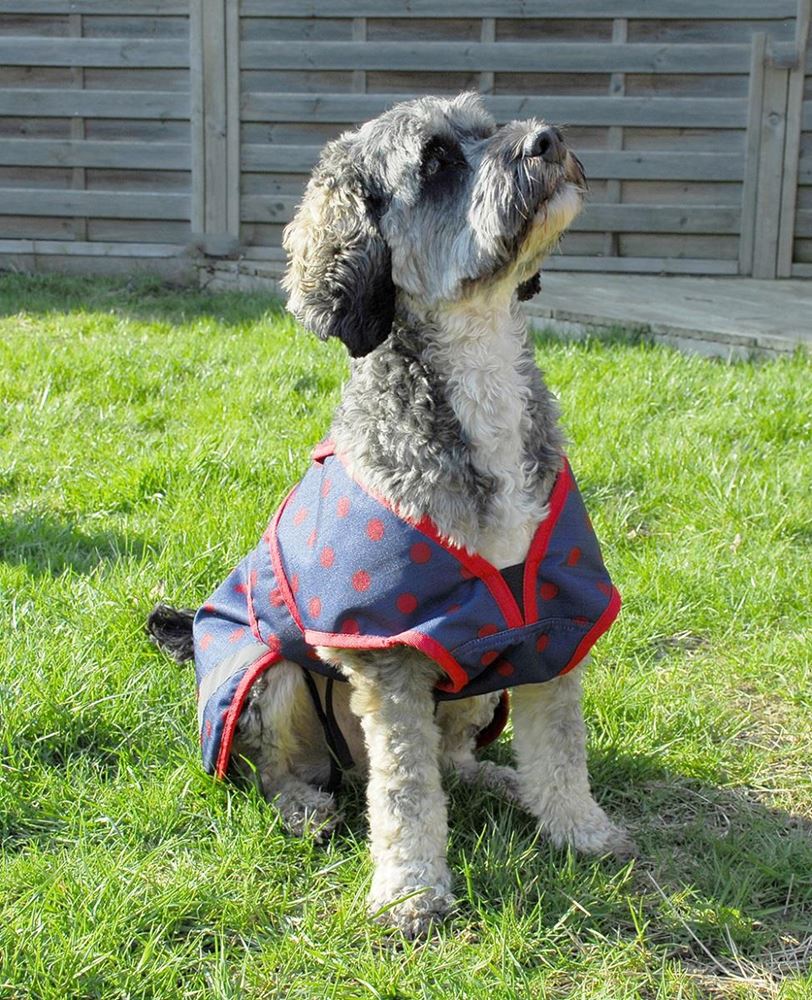 Rhinegold Highland Waterproof Dog Coat (Navy with Red Spots)