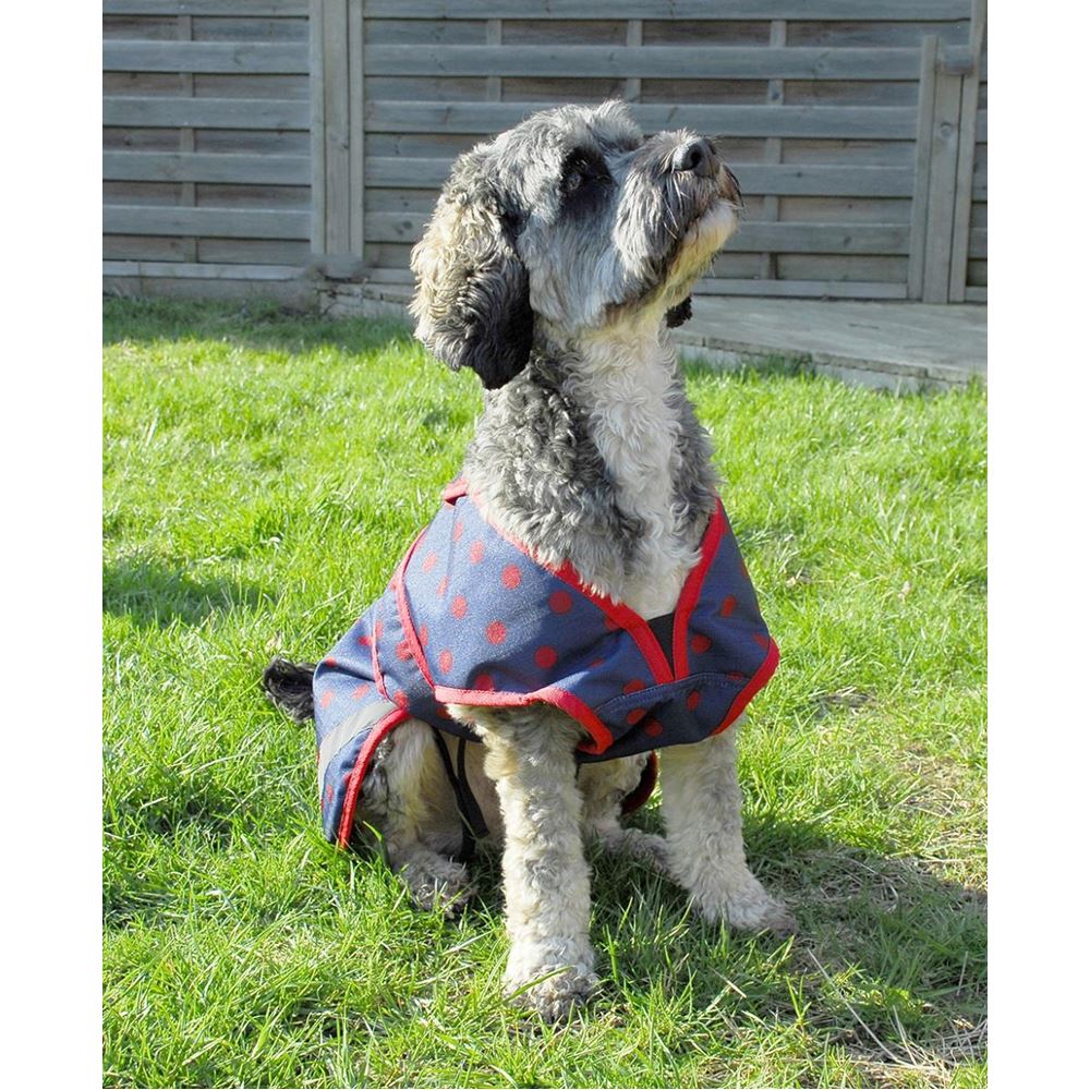 Rhinegold Highland Waterproof Dog Coat (Navy with Red Spots)