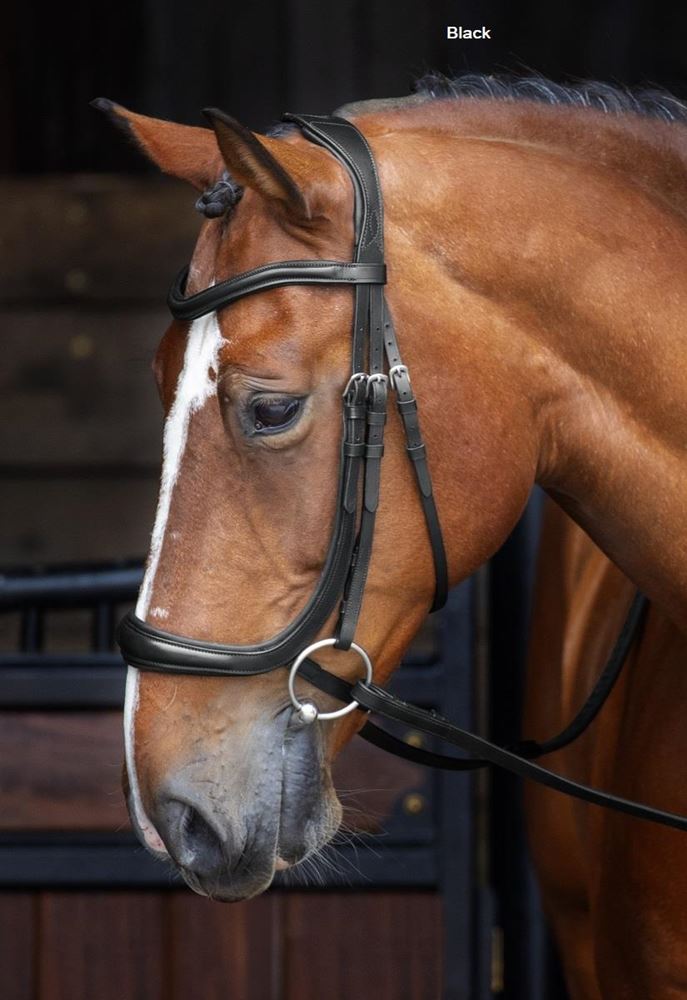 Shires Velociti RAPIDA Ergononic Curved Cavesson Bridle