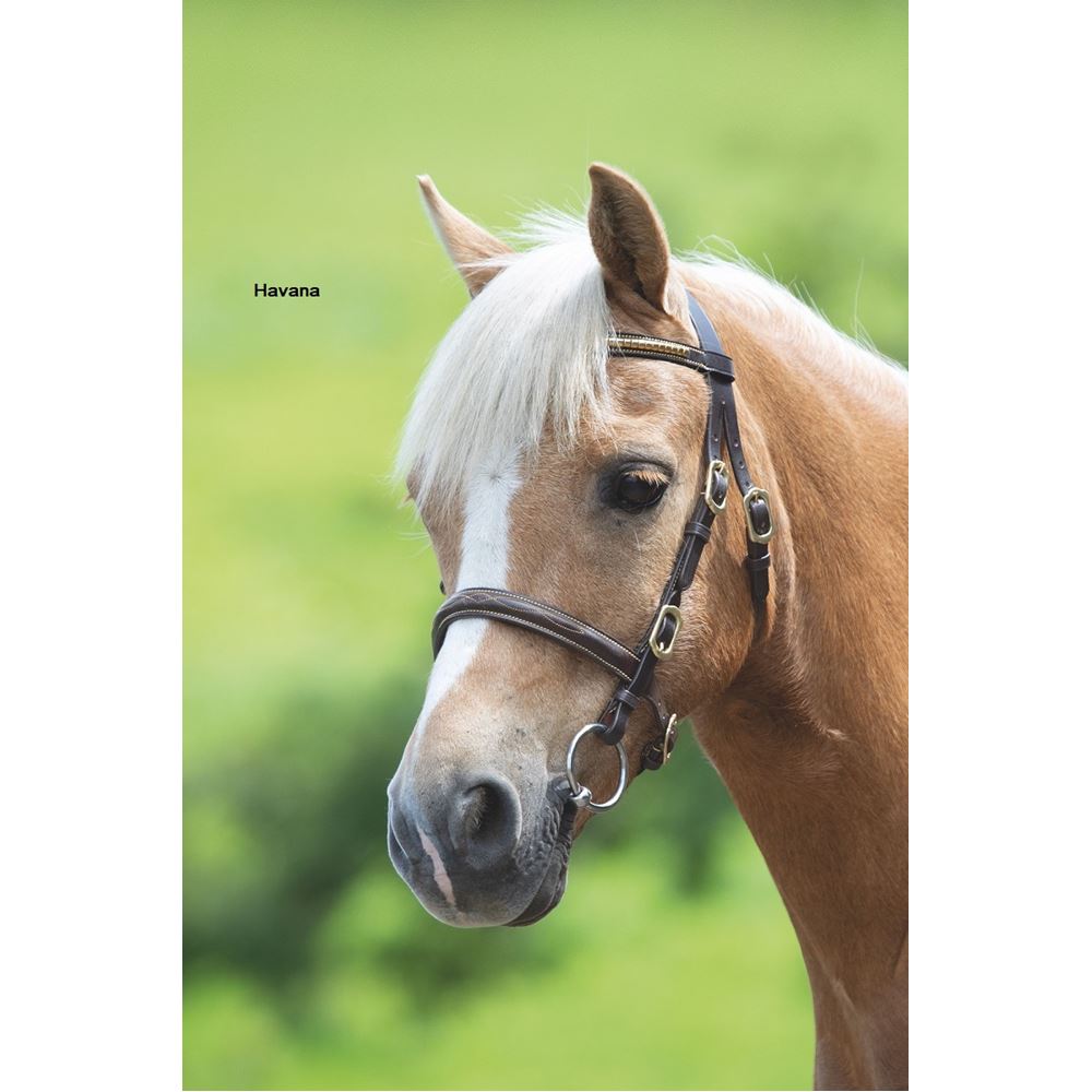 Shires Velociti GARA (Blenheim) Clincher Inhand Bridle