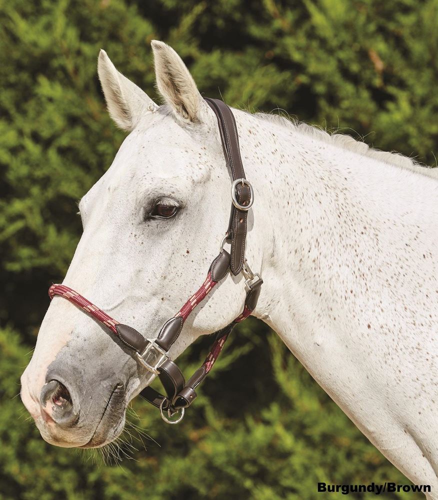 Kincade Leather Rope Headcollar
