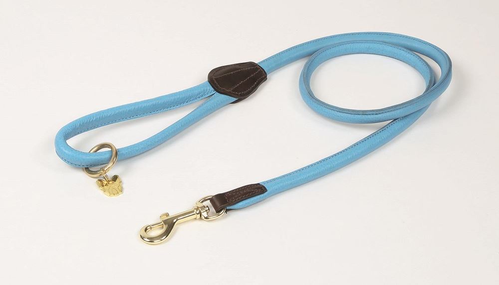 Shires Rolled Leather Dog Lead