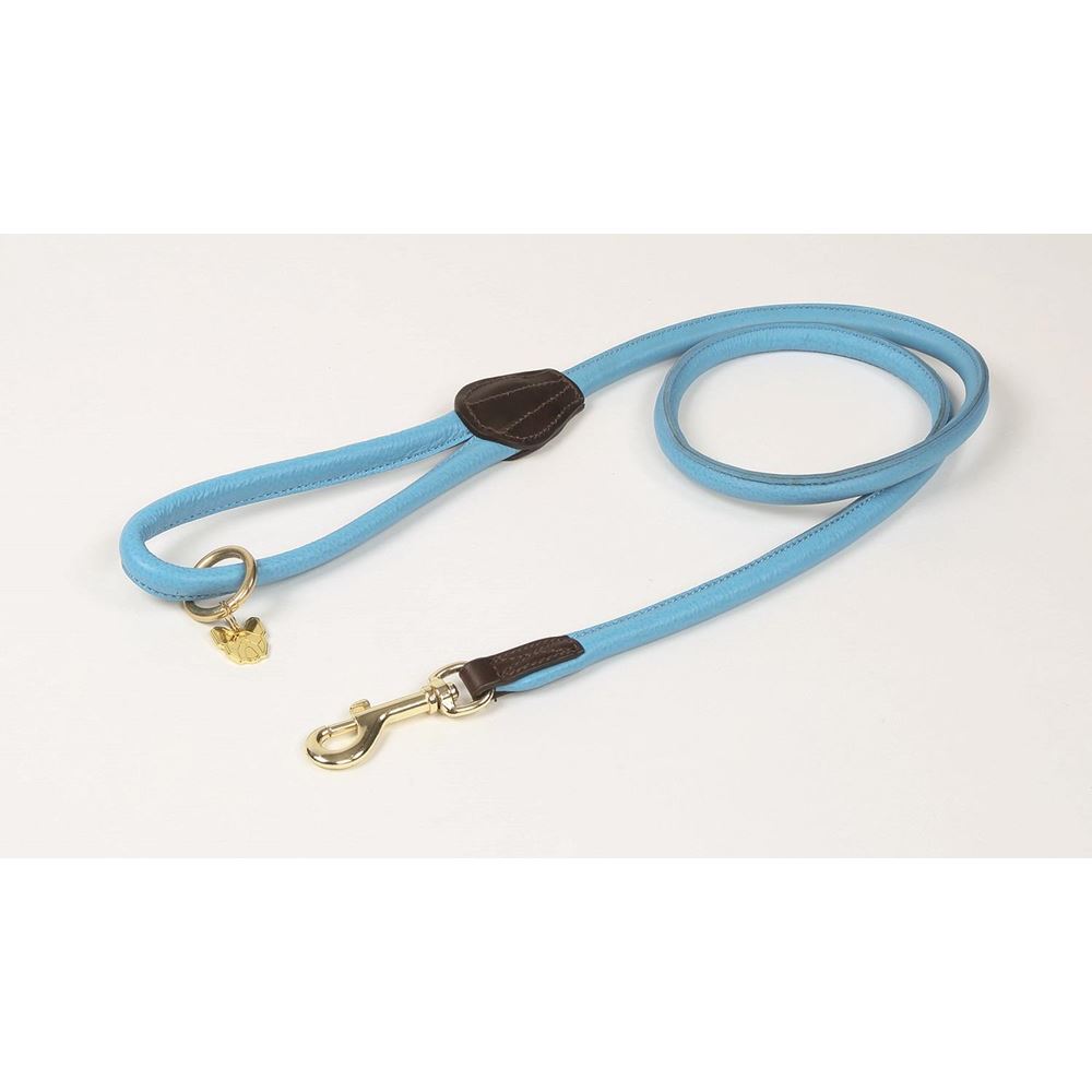 Shires Rolled Leather Dog Lead