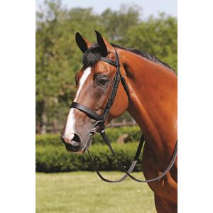 JHL Plain Cavesson Bridle with Reins