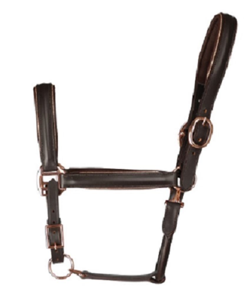 Hy Equestrian Chromatic Leather Head Collar (Brown)